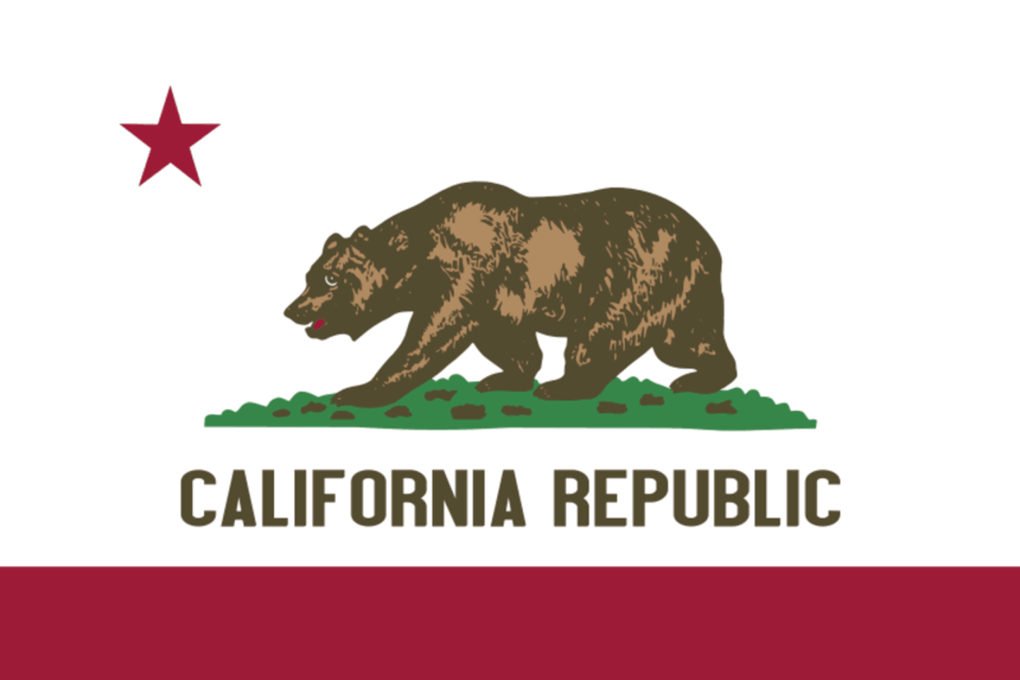 CARD RENEWAL: CALIFORNIA - BSIS ANNUAL SECURITY OFFICER REFRESHER (8 HOURS)