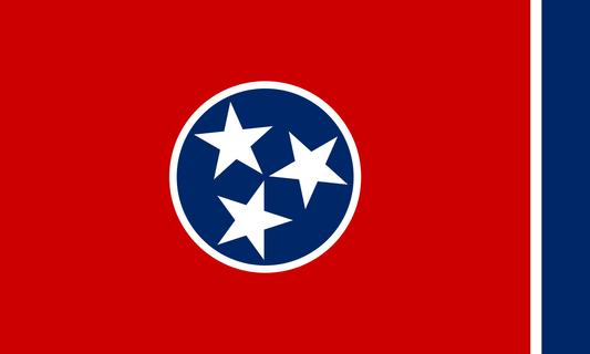 GET CERTIFIED: TENNESSEE - SECURITY GUARD LICENSE TRAINING COURSE (4 HOURS)
