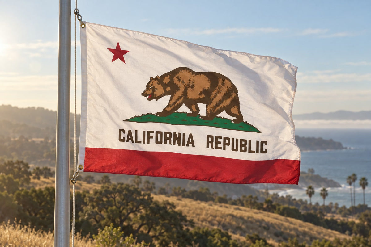 CARD RENEWAL: CALIFORNIA - BSIS ANNUAL SECURITY OFFICER REFRESHER (8 HOURS)